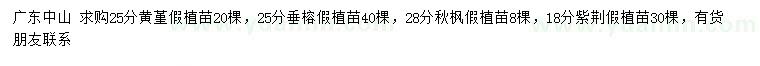 求购黄槿、垂榕、秋枫等