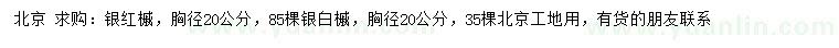 求购胸径20公分银红槭、银白槭