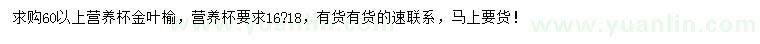 求购60公分以上金叶榆