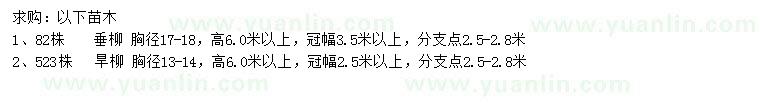 求购胸径17-18公分旱柳、13-14公分垂柳