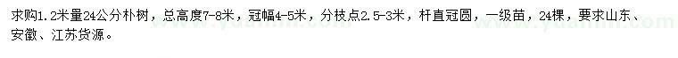 求购1.2米量24公分朴树