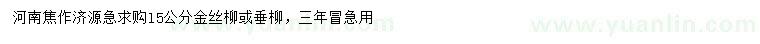 求购15公分金丝柳、垂柳