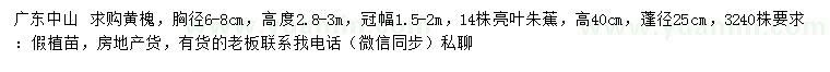 求购胸径6-8公分黄槐、蓬径25公分亮叶朱蕉