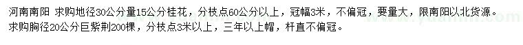 求购地径30公分量15公分桂花、胸径20公分巨紫荆