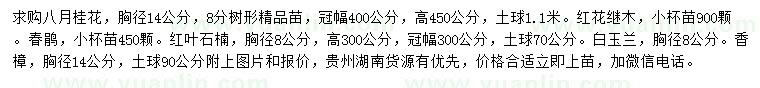 求购八月桂花、红花继木、春鹃等