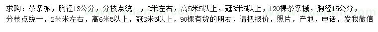 求购胸径13、15公分茶条槭