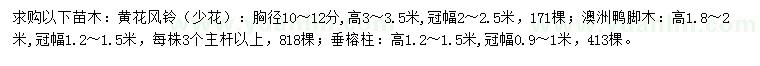 求购黄花风铃、澳洲鸭脚木、垂榕柱