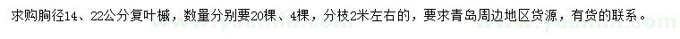 求购胸径14、22公分复叶槭