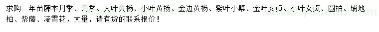 求购藤本月季、大叶黄杨、紫叶小檗等