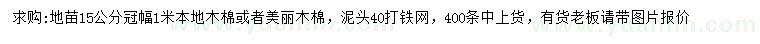 求购冠幅1米本地木棉或美丽木棉