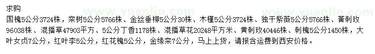 求购国槐、栾树、金丝垂柳等