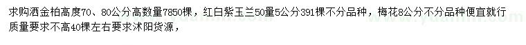 求购洒金柏、玉兰、梅花