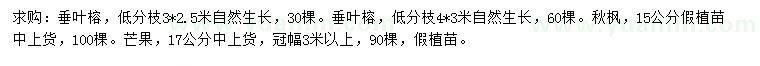 求购垂叶榕、秋枫、芒果