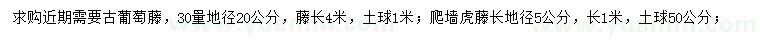 求购30量20公分古葡萄藤、5公分爬墙虎