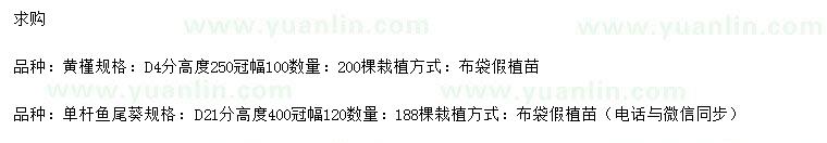 求购地径4公分黄槿、地径21公分单杆鱼尾葵