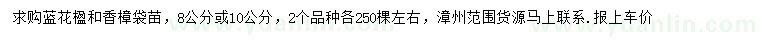 求购8、10公分蓝花楹、香樟