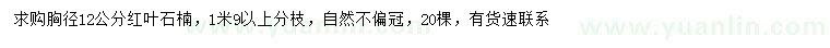 求购胸径12公分红叶石楠