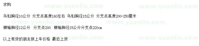 求购胸径10、15公分乌桕、胸径12、15公分榔榆