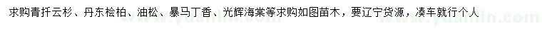 求购青扦云杉、丹东桧柏、油松等