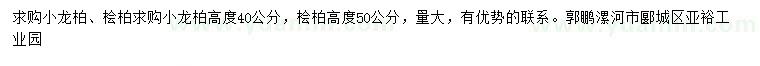 求购高40公分小龙柏、50公分桧柏