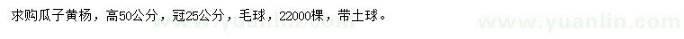 求购高50公分瓜子黄杨