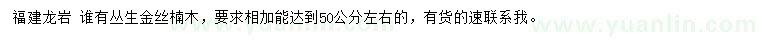 求购足50公分左右丛生金丝楠木