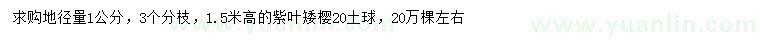 求购地径量1公分紫叶矮樱