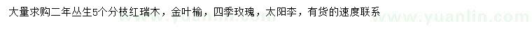 求购红瑞木、金叶榆、四季玫瑰等