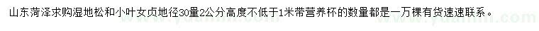 求购30量2公分湿地松、小叶女贞