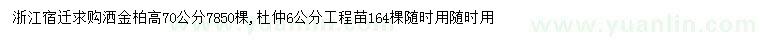 求购高70公分洒金柏、6公分杜仲