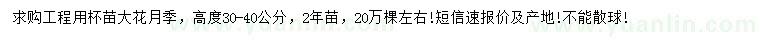 求购高度30-40公分大花月季