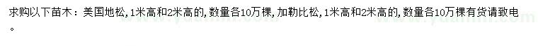 求购高1、2米美国地松、加勒比松