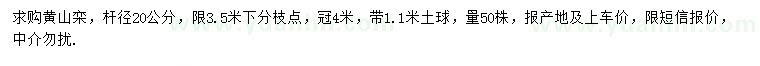 求购冠幅4米公分黄山栾