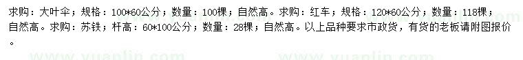 求购大叶伞、红车、苏铁