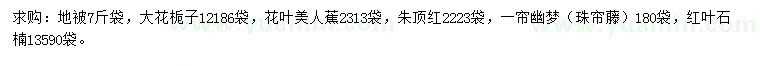 求购大花栀子、花叶美人蕉、朱顶红等