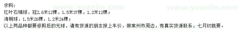 求购冠1.2米、1.5米、2.6米红叶石楠球、冠1.2米、1.5米海桐球