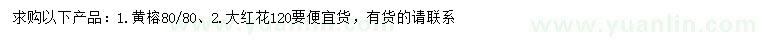 求购80公分黄榕、120公分大红花