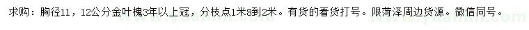 求购胸径11、12公分金叶槐