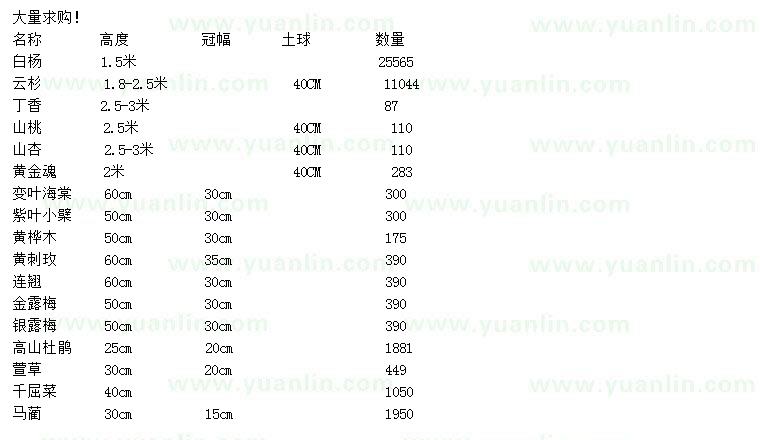 求购白杨、云杉、丁香等