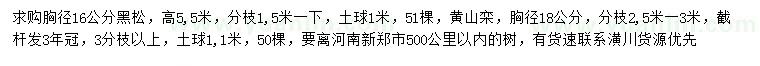 求购胸径16公分黑松、18公分黄山栾