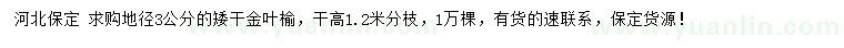 求购地径3公分矮干金叶榆