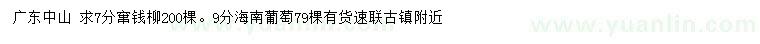 求购7公分窜钱柳、9公分海南葡萄