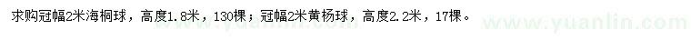 求购冠幅2米海桐球、黄杨球