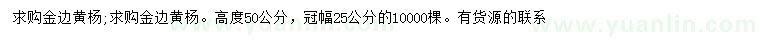 求购高度50公分金边黄杨