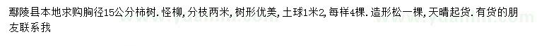 求购柿树、怪柳、造型松