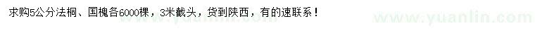 求购5公分法桐、国槐