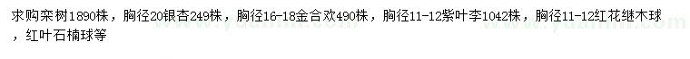 求购栾树、金合欢、紫叶李等