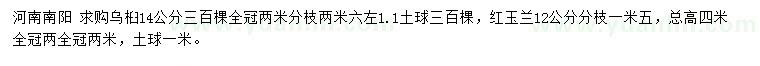 求购14公分乌桕、12公分红玉兰