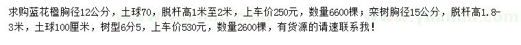 求购胸径12公分蓝花楹、胸径15公分栾树