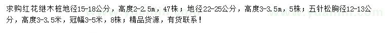 求购地径15-18、22-25公分红花继木桩、胸径12-13公分五针松